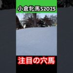 【小倉牝馬S2025 注目の穴馬‼️】毎週予想投稿🐎登録お願いします🤲 #小倉牝馬ステークス #小倉競馬場 #小倉牝馬s #競馬予想 #競馬 #穴馬 #アスコルティアーモ #ウマグチ