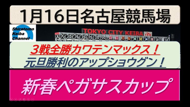 【競馬予想】新春ペガサスカップSPⅠ！～２０２５年１月１６日 名古屋競馬場 ：１－２７