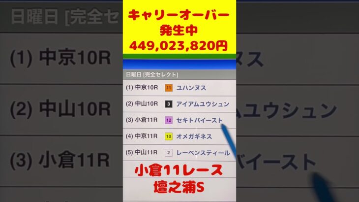 キャリーオーバー【WIN5】人気馬を買う！ #win5予想 #競馬予想 #プロキオンステークス #アメリカジョッキークラブカップ