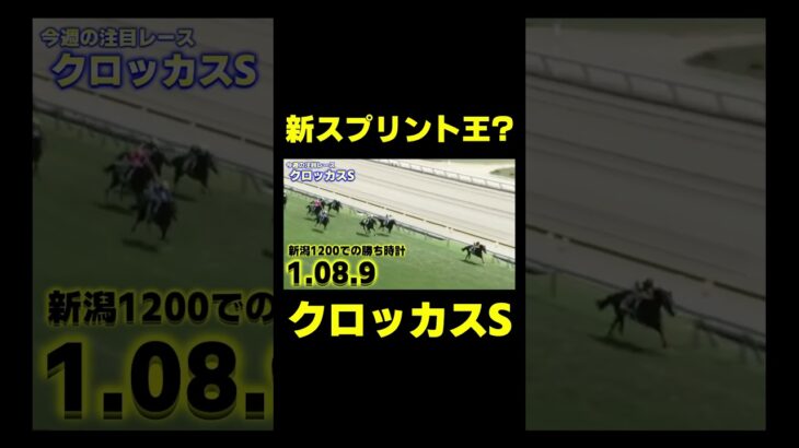 今週に次期スプリント王候補が参戦!!  #競馬 #競馬予想動画 #シルクロードs #根岸s