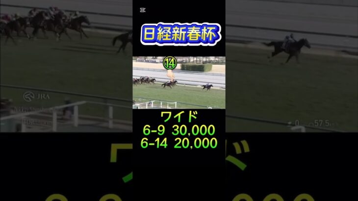 日経新春杯#shorts #競馬 #競馬予想 #ウマキング #ウマジョ #ランキング #ウマかつ #ウマきゅん #うま