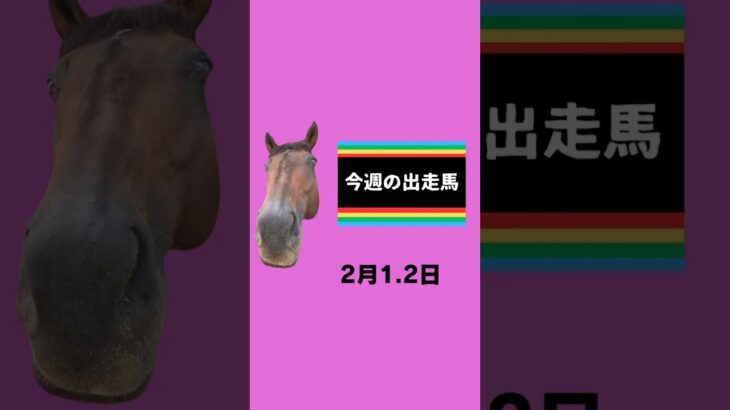 #今週の下河辺産 #下河辺shorts #下河辺牧場 #馬 #競馬 #競馬予想 声:音声さん