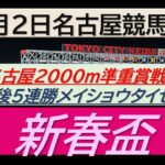 【競馬予想】準重賞・新春盃！～２０２５年１月２日 名古屋競馬場 ：１－３