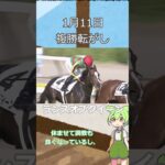 【競馬予想】１月１１日複勝転がし予想