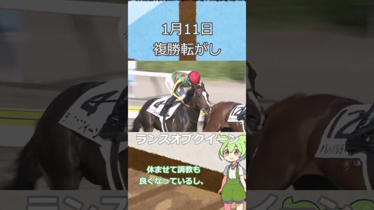 【競馬予想】１月１１日複勝転がし予想