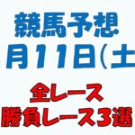 【競馬予想】１月１１日（土）全レース予想／厳選３レース(平場予想・重賞予想)