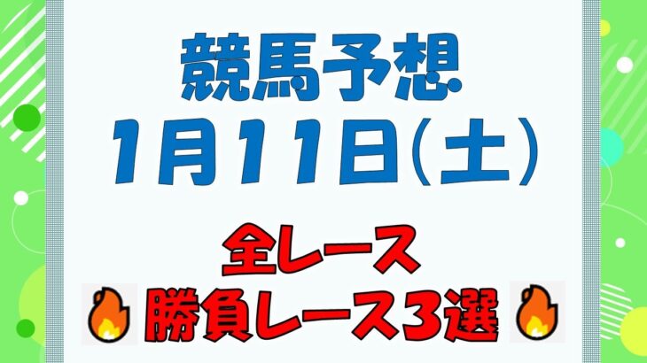 【競馬予想】１月１１日（土）全レース予想／厳選３レース(平場予想・重賞予想)