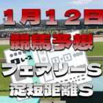 【競馬予想】１月１２日中央競馬メインレース予想（フェアリーステークス・淀短距離ステークス）