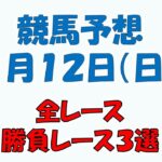 【競馬予想】１月１２日（日）全レース予想／厳選３レース(平場予想・重賞予想)