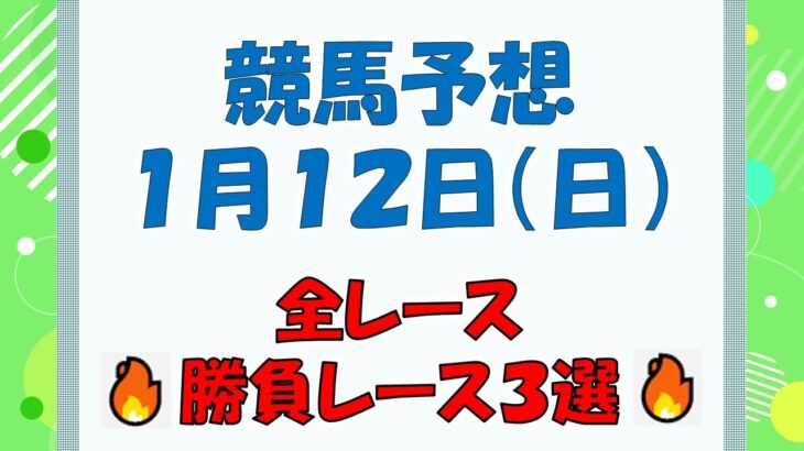 【競馬予想】１月１２日（日）全レース予想／厳選３レース(平場予想・重賞予想)