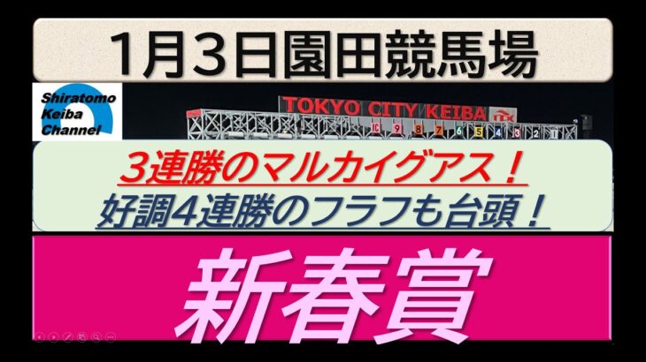 【競馬予想】重賞 新春賞！～２０２５年１月３日 園田競馬場 ：１－６