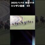 シンザン記念　もちおの当たらない予想　#競馬 #競馬予想 #競馬予想動画 #ウマ娘 #シンザン記念