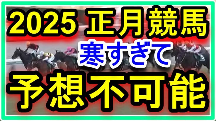 正月競馬。金杯で超大穴に万張り。とにかく寒すぎて馬の筋肉が硬くなってるので予想不可能です。皆さんも無理だけはしないでください。