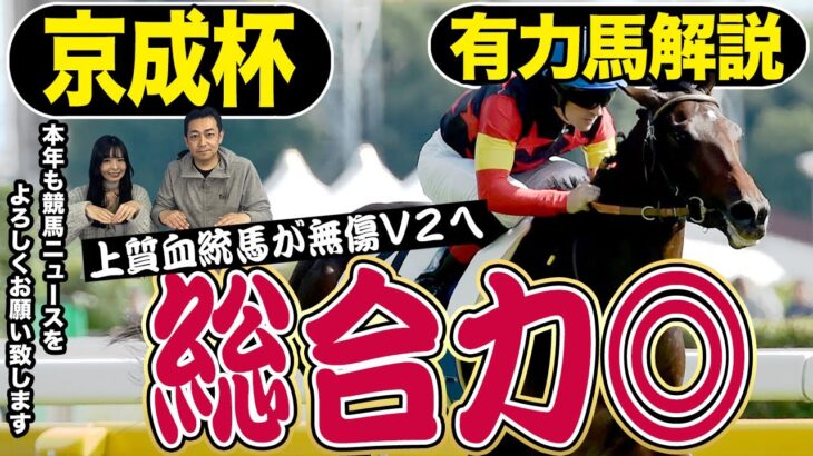 【京成杯２０２５】今年もよろしくお願いいたします！新年一発目の競馬ニュースは荒井記者の得意な京成杯！２０２５年好スタートを切るための有力馬は…？競馬記者が解説《東スポ競馬》