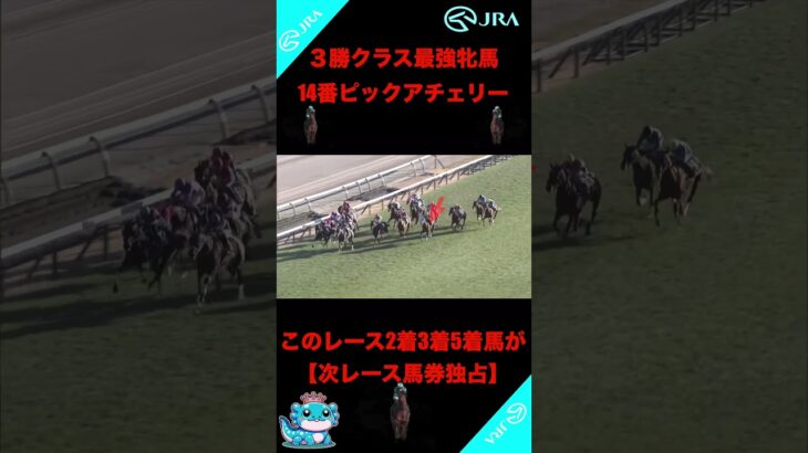 『次来る最強牝馬紹介』 #競馬 #競馬予想