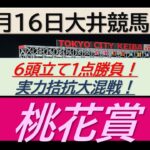 【競馬予想】準重賞・桃花賞～２０２５年１月１６日 大井競馬場 ：１－２９