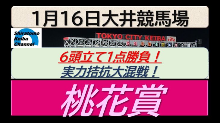 【競馬予想】準重賞・桃花賞～２０２５年１月１６日 大井競馬場 ：１－２９