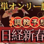 【調教予想】日経新春杯を天童なこが大予想‼️大混戦レース２軸で仕留める🪭