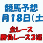 【競馬予想】１月１８日（土）全レース予想／厳選３レース(平場予想・重賞予想)