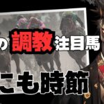 【馬にも時節 番外編】友道厩舎の３頭でコロガシを狙ってみます【明日の調教注目馬】