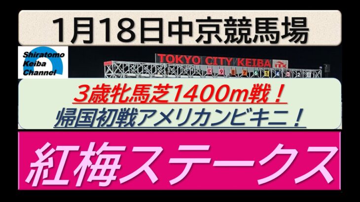 【競馬予想】紅梅ステークス～２０２５年１月１８日 中京競馬場 ：１－３１