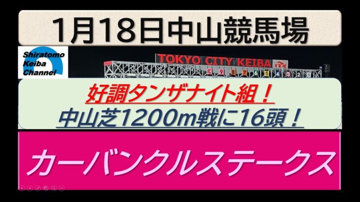 【競馬予想】カーバンクルステークス～２０２５年１月１８日 中山競馬場 ：１－３０