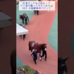 【競馬動画/パドック】日経新春杯パドック✨#競馬 #競馬予想 #ウマジョ #馬券勝負 #馬券的中 #中京競馬場 #パドック予想 #現地映像 #現地観戦 #パドック #日経新春杯