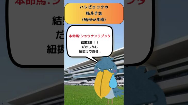 【日経新春杯_結果発表】#競馬予想 #日経新春杯 #ショウナンラプンタ　#ハシビロコウ