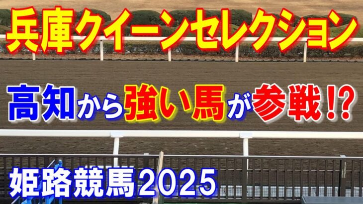 兵庫クイーンセレクション２０２５【姫路競馬予想】砂の深い高知で鍛えられた馬が強い！！