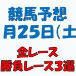 【競馬予想】１月２５日（土）全レース予想／厳選３レース(平場予想・重賞予想)