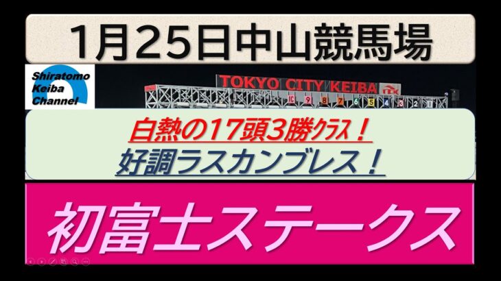 【競馬予想】初富士ステークス～２０２５年１月２５日 中山競馬場 ：１－３７