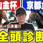 【中山金杯＆京都金杯予想】まさかの穴馬に最高評価！！異例の中京開催でこそ狙える馬とは？！６年連続回収率プラス男が全頭徹底解説！