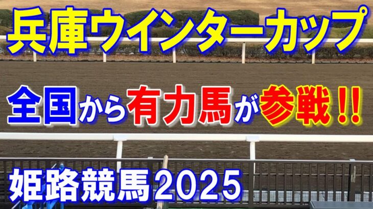 兵庫ウインターカップ２０２５【姫路競馬予想】強力遠征勢にどう立ち向かう？