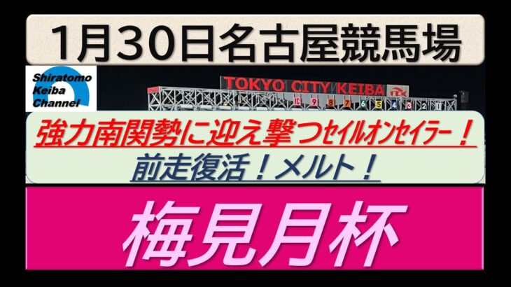 【競馬予想】重賞 梅見月杯～２０２５年１月３０日 名古屋競馬場 ：１－４７