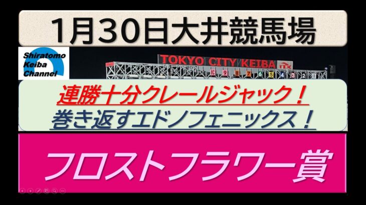 【競馬予想】フロストフラワー賞～２０２５年１月３０日 大井競馬場 ：１－４６