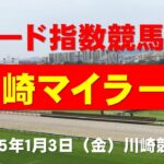 【川崎マイラーズ２０２４】東大式スピード指数による競馬予想