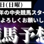 【競馬予想】１月５日（日曜）平場勝負レース該当馬６レース！２０２５年の中央競馬が開幕！今年初日に調教ベースで狙いたい馬は？