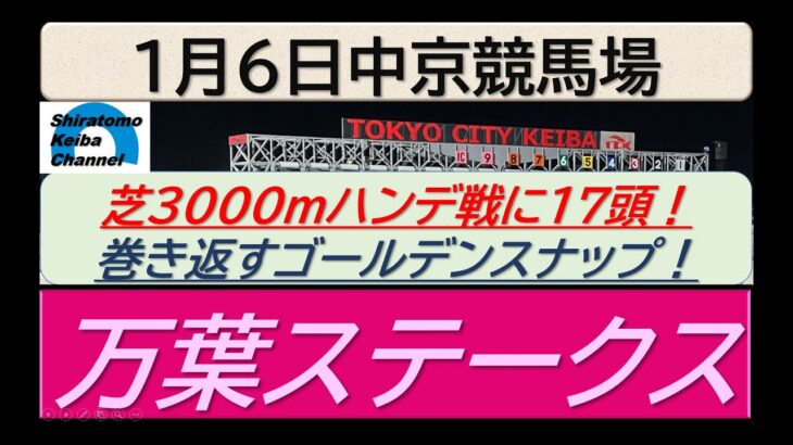 【競馬予想】万葉ステークス！～２０２５年１月６日 中京競馬場 ：１－１３