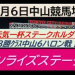 【競馬予想】サンライズステークス！～２０２５年１月６日 中山競馬場 ：１－１４