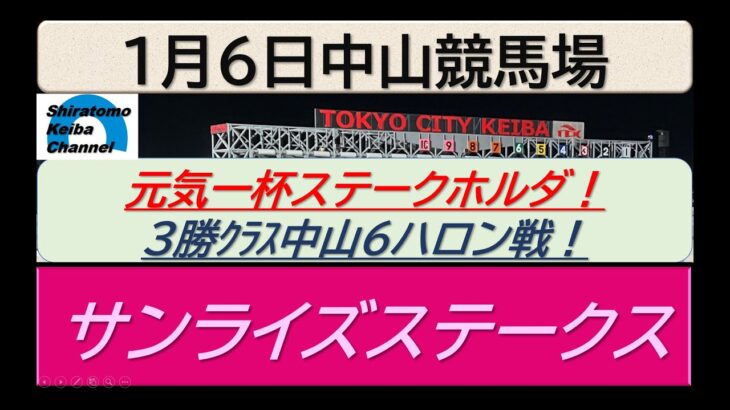 【競馬予想】サンライズステークス！～２０２５年１月６日 中山競馬場 ：１－１４