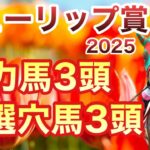 【チューリップ賞】「勝ち」まである！狙いたい穴馬が1頭います。上位３頭に桜花賞への優先出走権付与