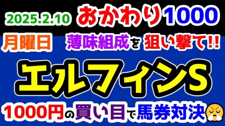 【ひとり丸乗り1000】 2025.2.10  京都10R エルフィンS　薄味組成を狙い撃て😤 【1000円の買い目で馬券対決😤 #109 】