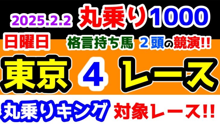 【ひとり丸乗り1000】 2025.2.2 東京4R 3歳新馬　格言持ち馬 ２頭の競演😉 【1000円の買い目で馬券対決😤 #108 】