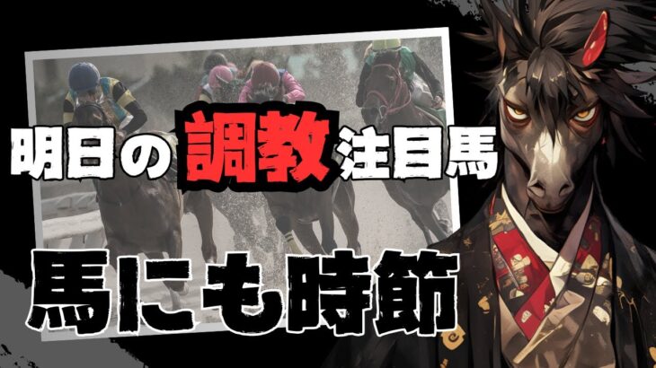 【馬にも時節】京都11R シルクロードＳ やはり気になるグランテスト/何もかもが違い何もかもが初ならダノンタッチダウンは今回買うべき？/ソンシとエイシンフェンサーにも期待【明日の調教注目馬】