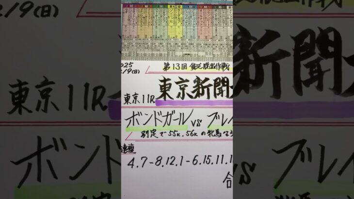 【競馬予想】東京11R 東京新聞杯🏇実績ある牝馬が軸か🧐⁉️