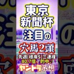 東京新聞杯 注目の穴馬2頭 #競馬予想