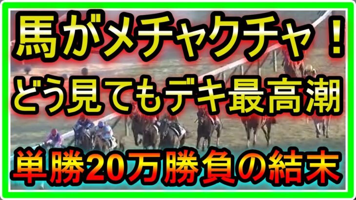 【競馬】馬がメチャクチャ！！どう見てもデキ最高潮！単勝20万大勝負の結末は！？