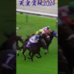 ドウデュースコカメラ [天皇賞秋2024]#競馬 #競馬予想 #馬 #shorts