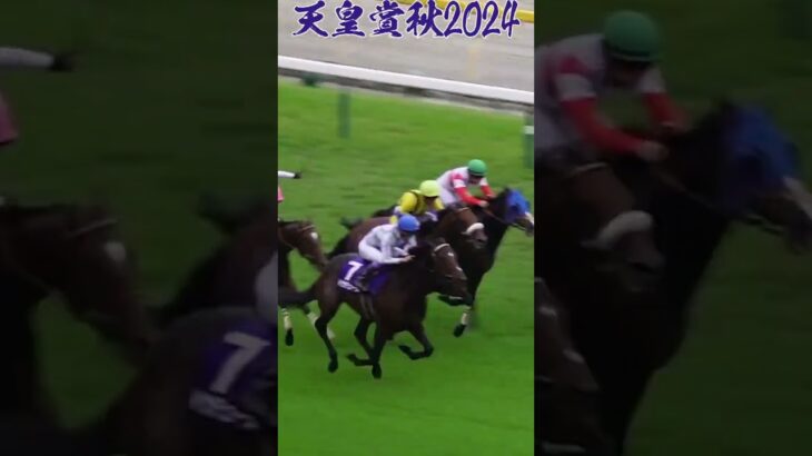 ドウデュースコカメラ [天皇賞秋2024]#競馬 #競馬予想 #馬 #shorts