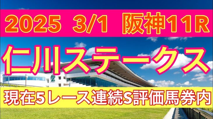 【2025   仁川ステークス全頭診断】